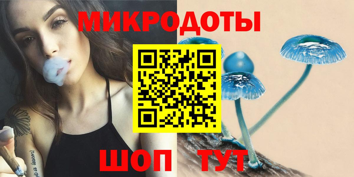 Гудермес  Галлюциногенные грибы Psilocybe  Вход с VPN 